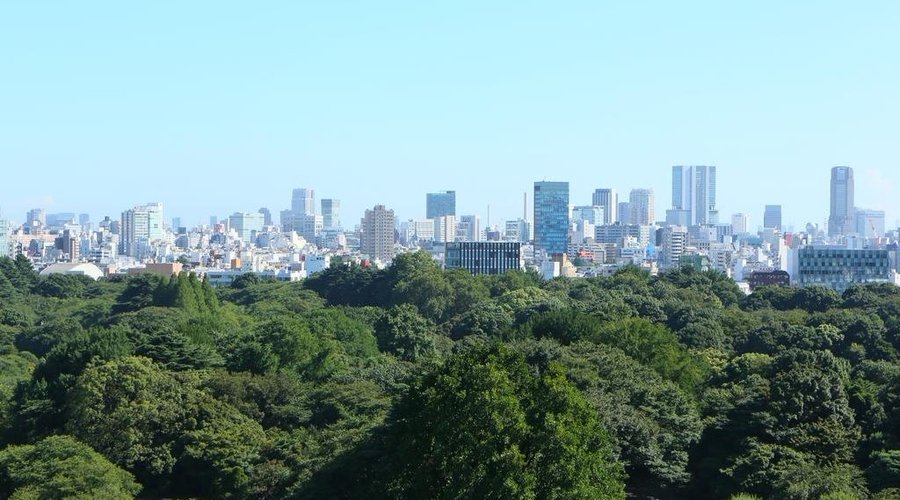 Shinjuku Gyoen National Garden