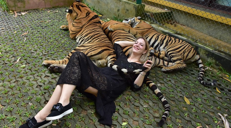 Tiger Kingdom Phuket - All You Need to Know BEFORE You Go (2025)