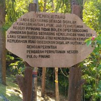 Teluk Bahang Forest Eco Park - All You Need to Know BEFORE You Go (2024)