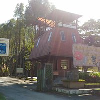 Teluk Bahang Forest Eco Park