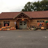 Maxey's Farm Shop Pumpkins