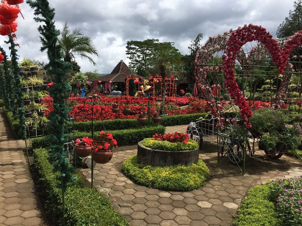 Begonia Garden (Lembang) - All You Need to Know BEFORE You Go