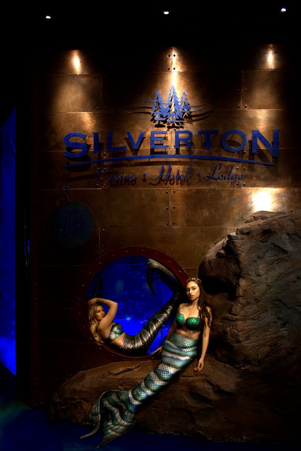 Hotel photo 10 of Silverton Casino Hotel.
