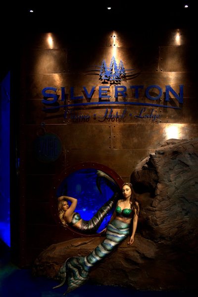 Hotel photo 13 of Silverton Casino Hotel.