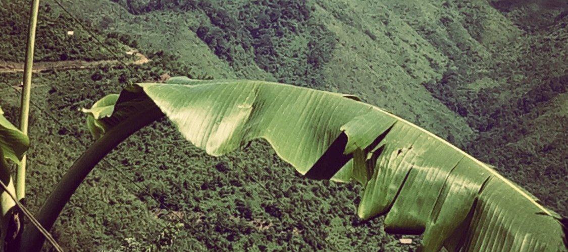 Hill ranges in Nagaland