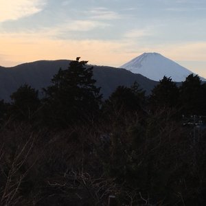 ダイヤモンド 箱根ソサエティ 22年最新の料金比較 口コミ 宿泊予約 トリップアドバイザー