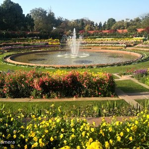 Talkatora Garden (New Delhi) - All You Need to Know BEFORE You Go