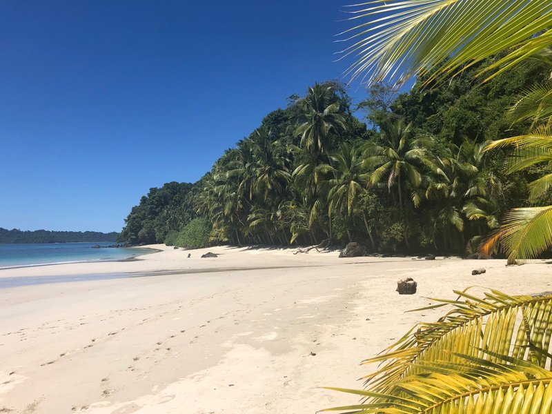 Isla de Coiba 2024: Best Places to Visit - Tripadvisor