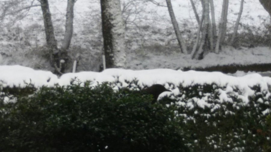 Foto dall'hotel S. Domenico, alcune scattate dalla camera 114.