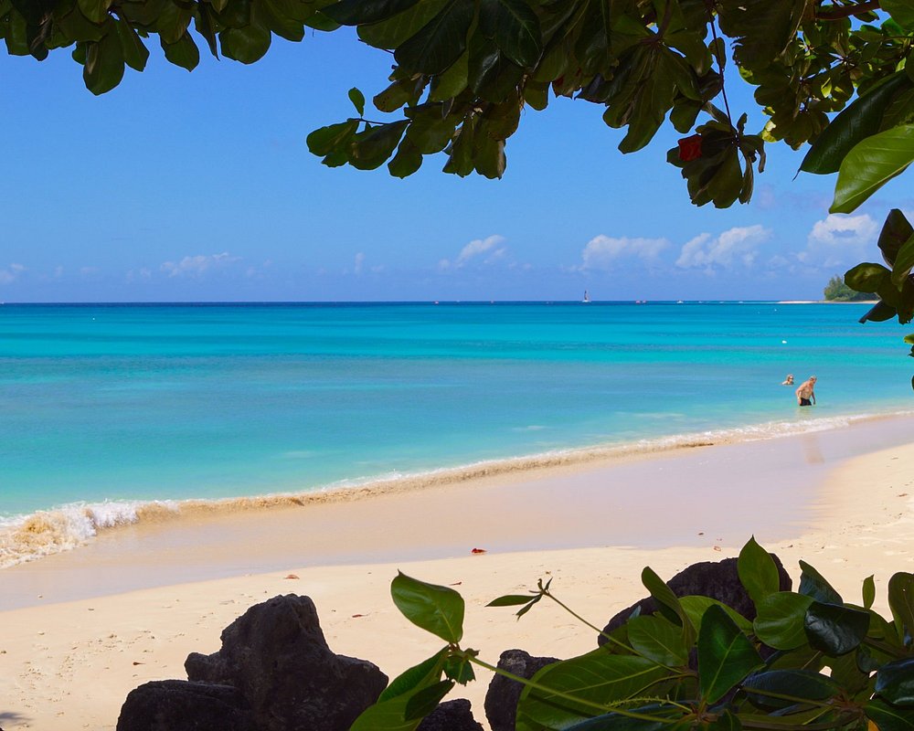 The 10 Best Barbados Beaches Updated 2024 Tripadvisor
