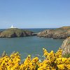 Things To Do in Yet-Y-Gors Campsite and Fishery Fishguard, Restaurants in Yet-Y-Gors Campsite and Fishery Fishguard