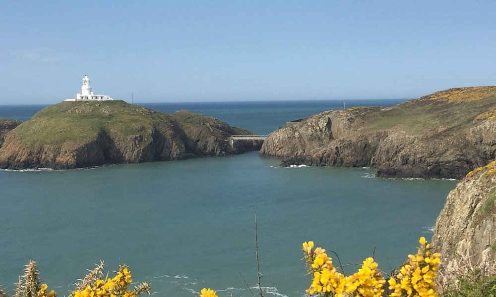 visit fishguard wales