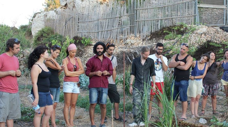 Teams visiting our gardens