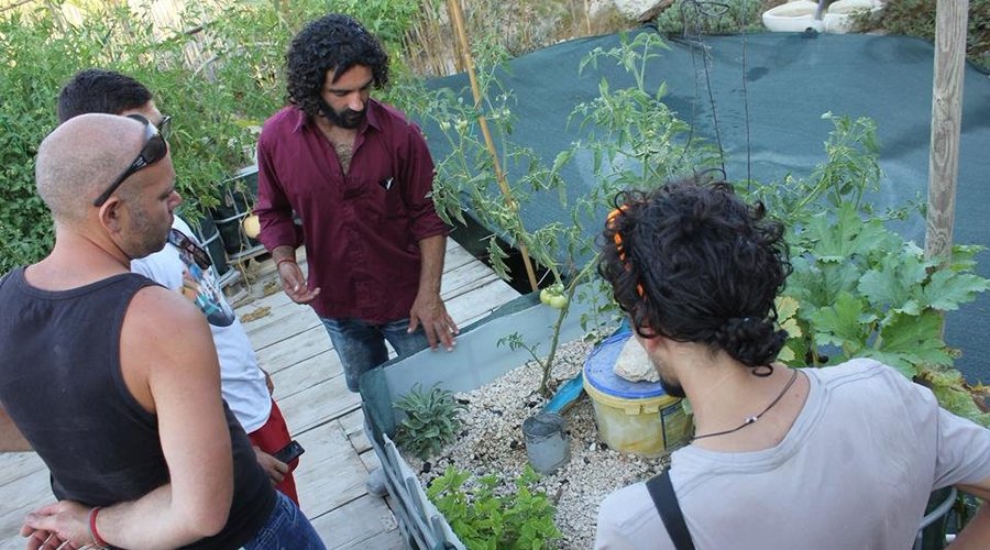 Having a close look at our aquaponics systems
