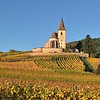 Things To Do in Domaine David Ermel & Fils, Restaurants in Domaine David Ermel & Fils