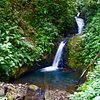The 10 Best Walking Tours in Monteverde Cloud Forest Reserve, Province of Puntarenas