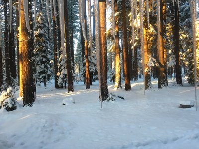 Detalhe do cardápio de sobremesas, preços de fevereiro de 2019 - Picture of  Christy Hill Restaurant, Tahoe City - Tripadvisor