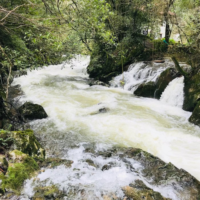 Imagen 9 de Fuente del Francés