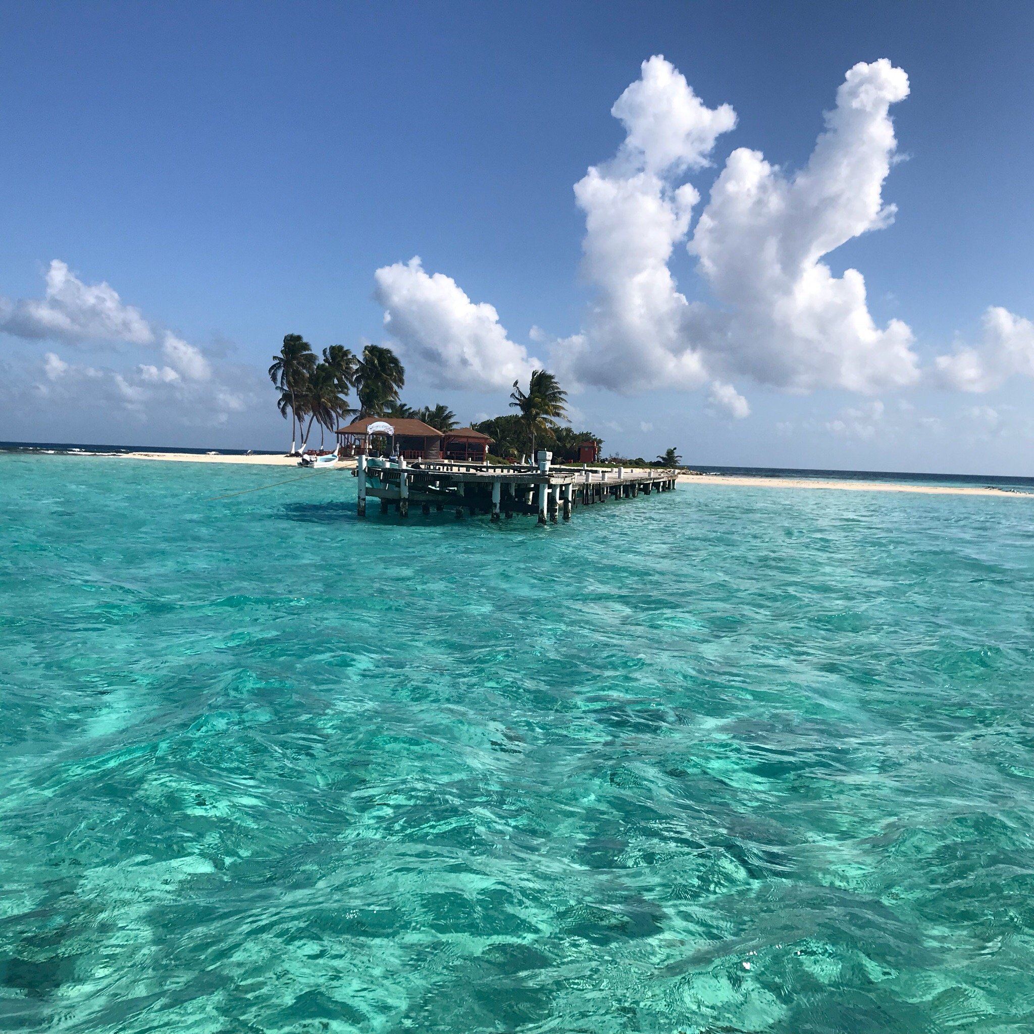 Belize Cruise Excursions - Goff's Caye Beach And Snorkeling Tour - 벨리즈 ...