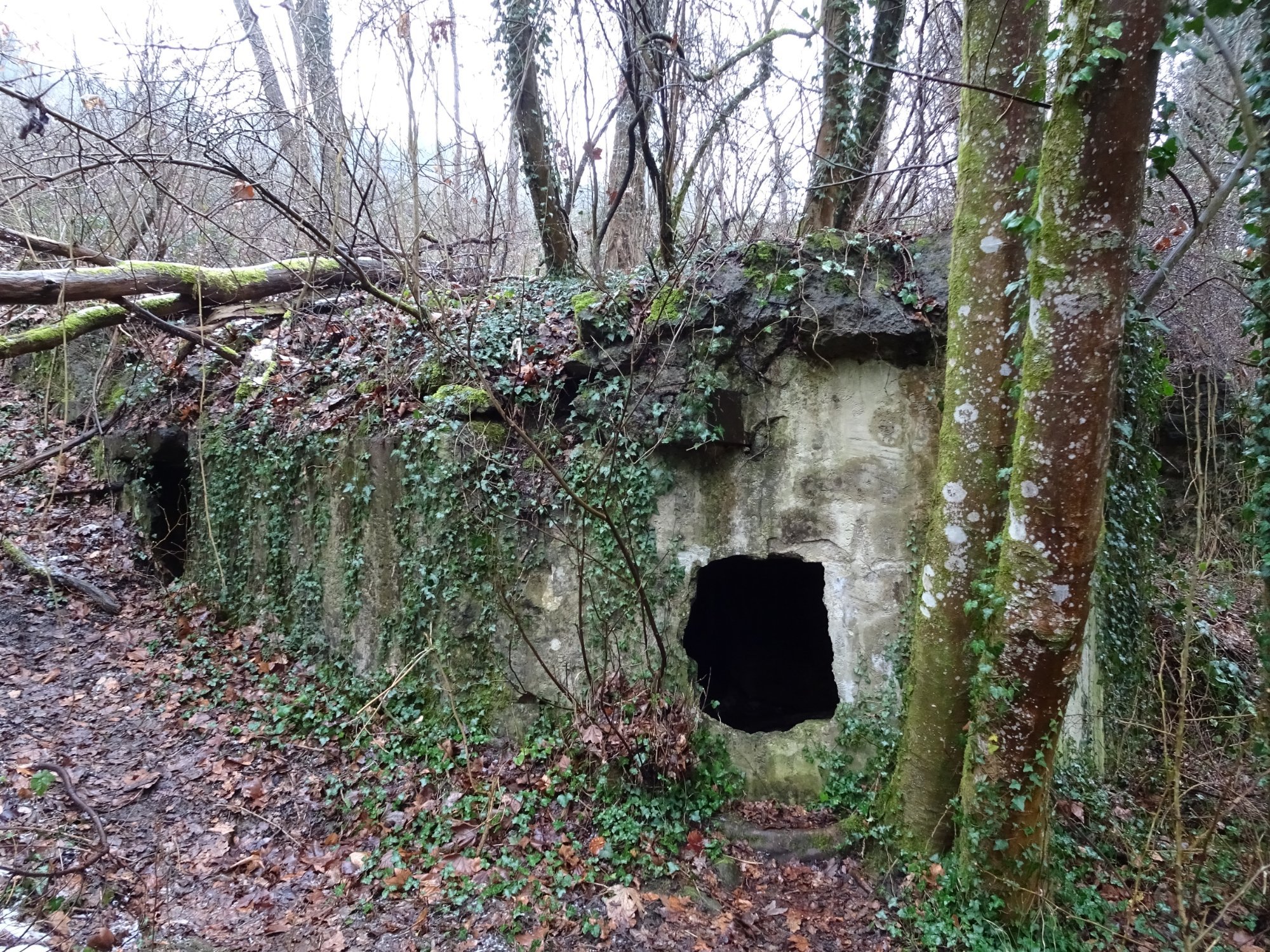 Bastogne Battle of the Bulge Guided Tours