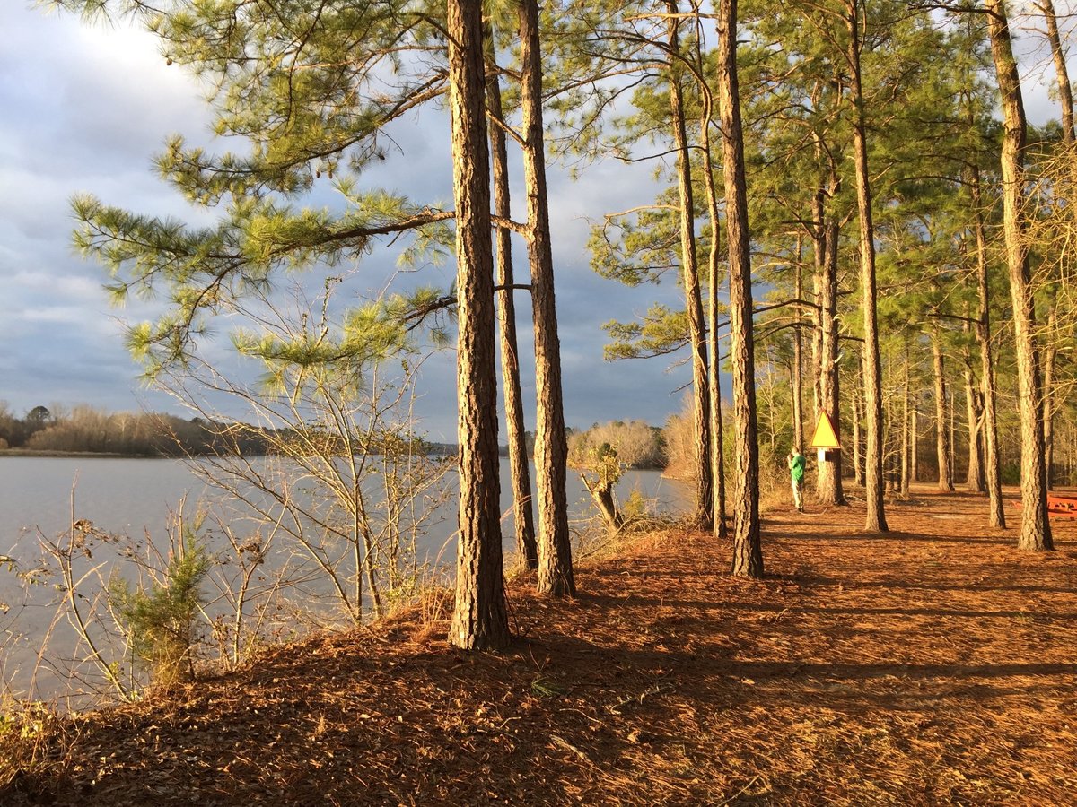 Escape To The Coast: Your Guide To Florence Marina State Park