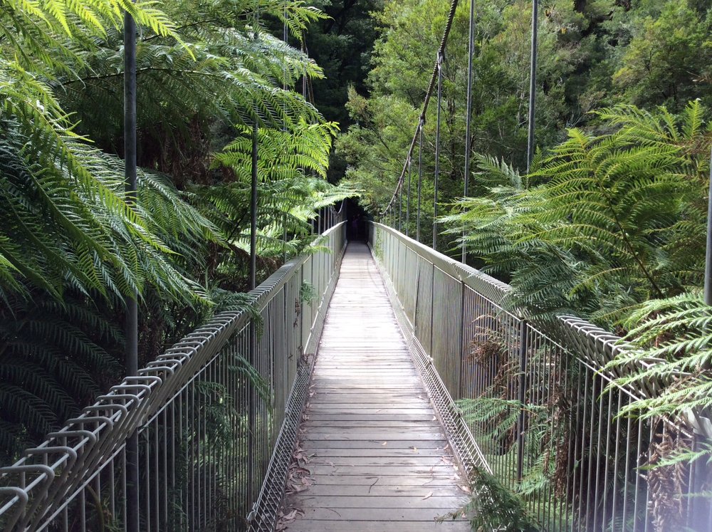 THE 10 BEST Things to Do in Gippsland - Tripadvisor