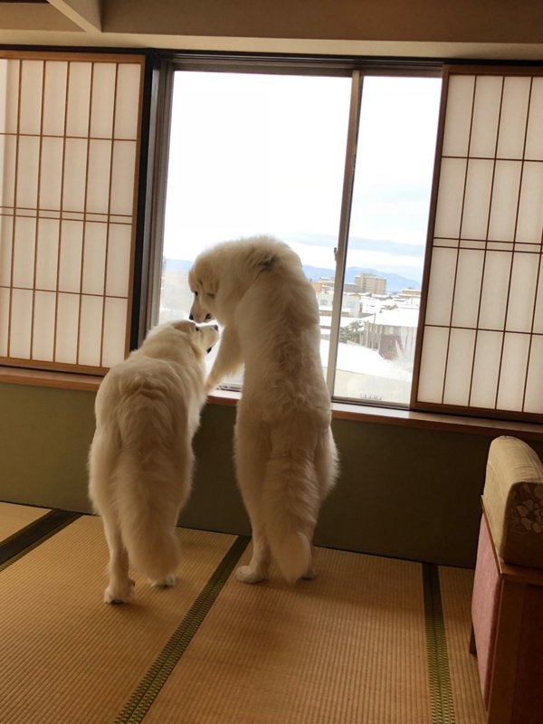 AIKEN TO SUGOSU HONKAKURYOKAN GEKKA - Prices &  Ryokan Reviews (Awara, Japan - Fukui Prefecture) - Tripadvisor