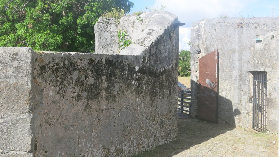 fort fleur d'épée!