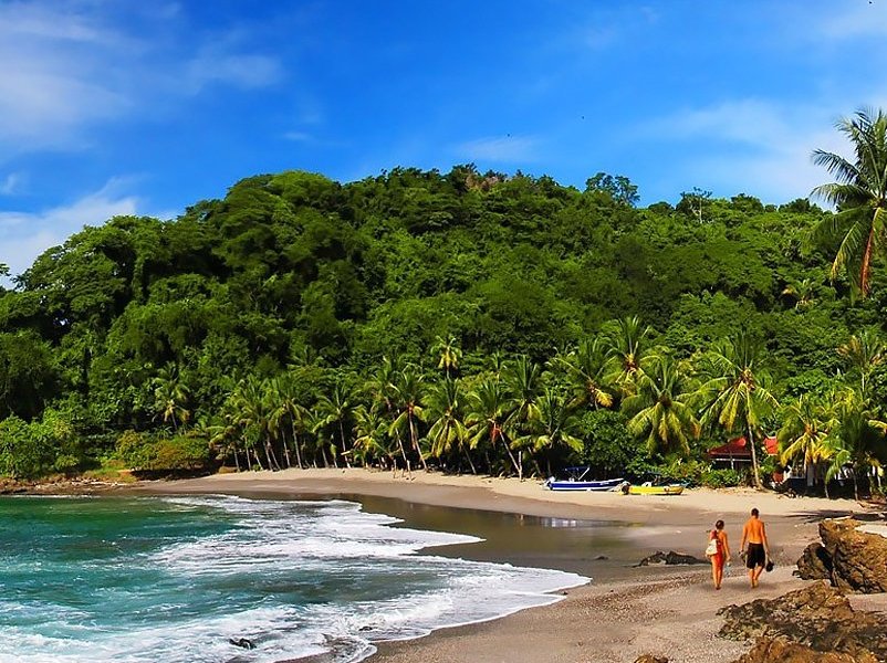 Pacific Trade Winds image