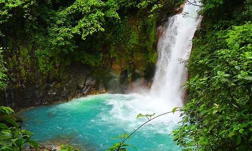 The Rio Celeste Waterfall offers unsurpassed beauty in the jungle!