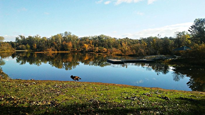 BALLS FERRY FISHING RESORT - Campground Reviews (Anderson, CA)