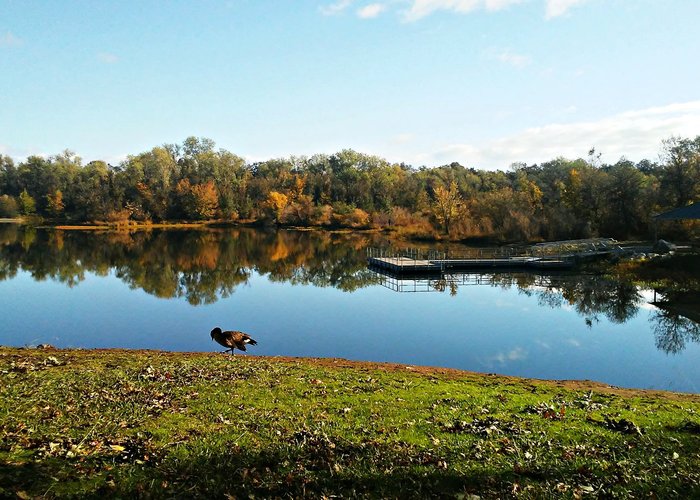 are dogs allowed at anderson river park