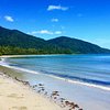 What to do and see in Daintree Region, Queensland: The Best Things to do Adventurous