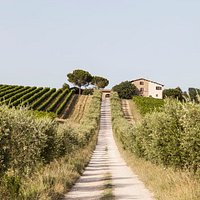 getlstd_property_photo