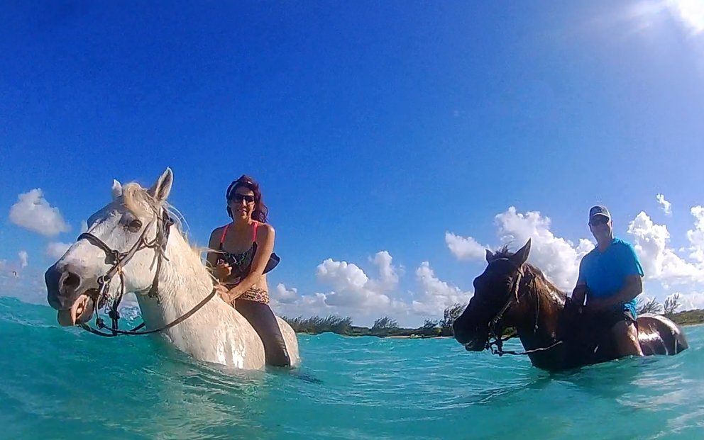 Cayman Horse Riding - All You Need to Know BEFORE You Go (2024)