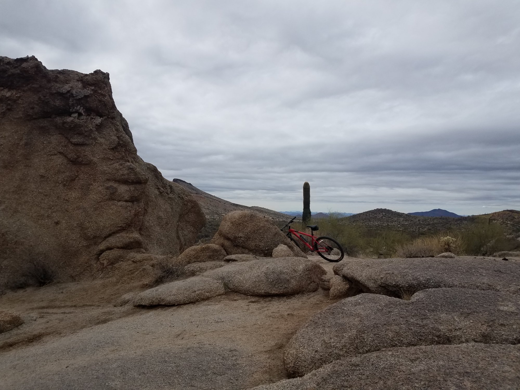 Mcdowell mountain bike online trails