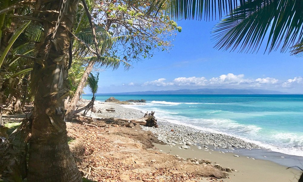 Playa Matapalo 2021: Best of Playa Matapalo, Costa Rica Tourism ...