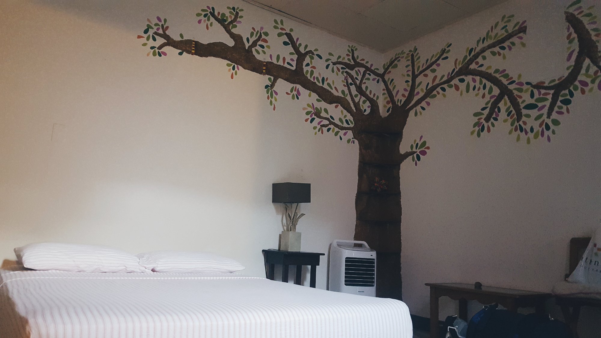 CASA LUNA - Hostel Reviews (Managua, Nicaragua)