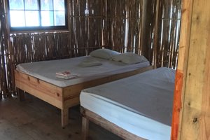Room & Suite