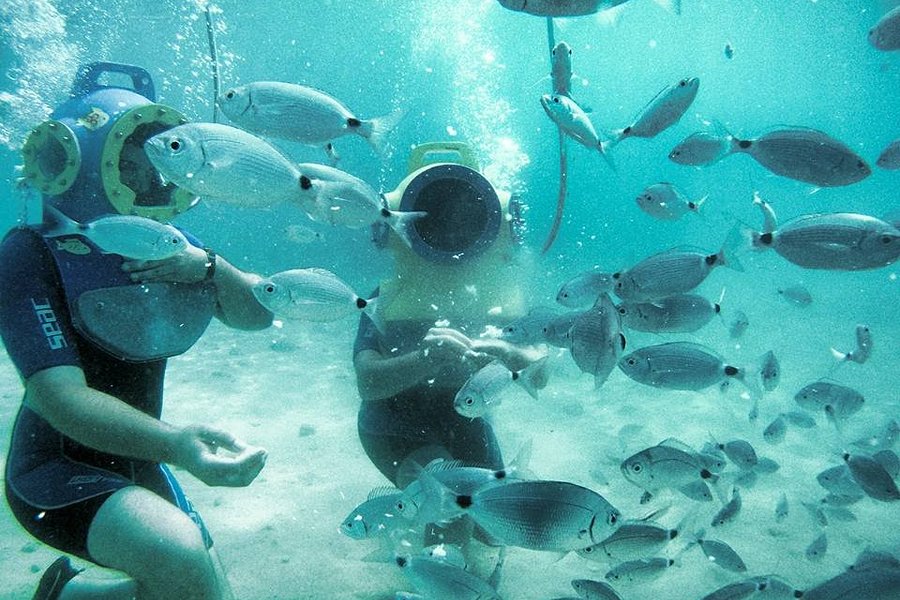 Underwater park Punat image