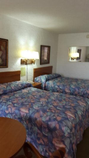 GATOR MOTEL - Updated 2024 Reviews (Kissimmee, FL)