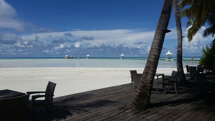 Madifushi Private Island Reviews Raiymandhoo Maldives Photos Of Hotel Tripadvisor 6624