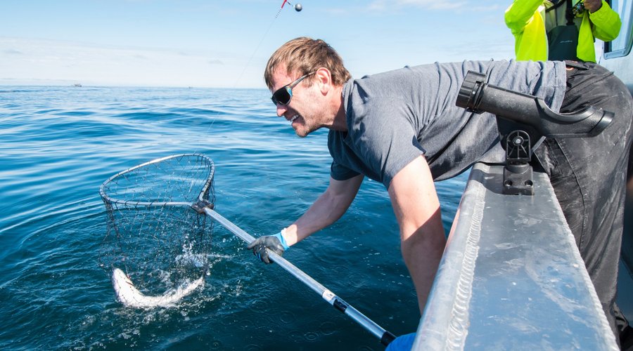 Fishing packages available May 20th - September 5th