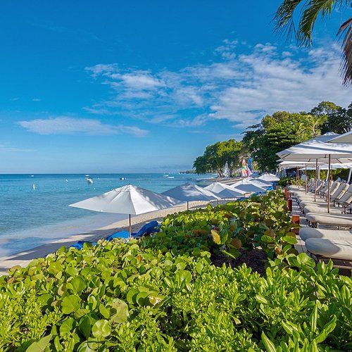 the house by elegant hotels barbados reviews