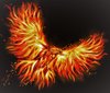 Ave Fenix 513