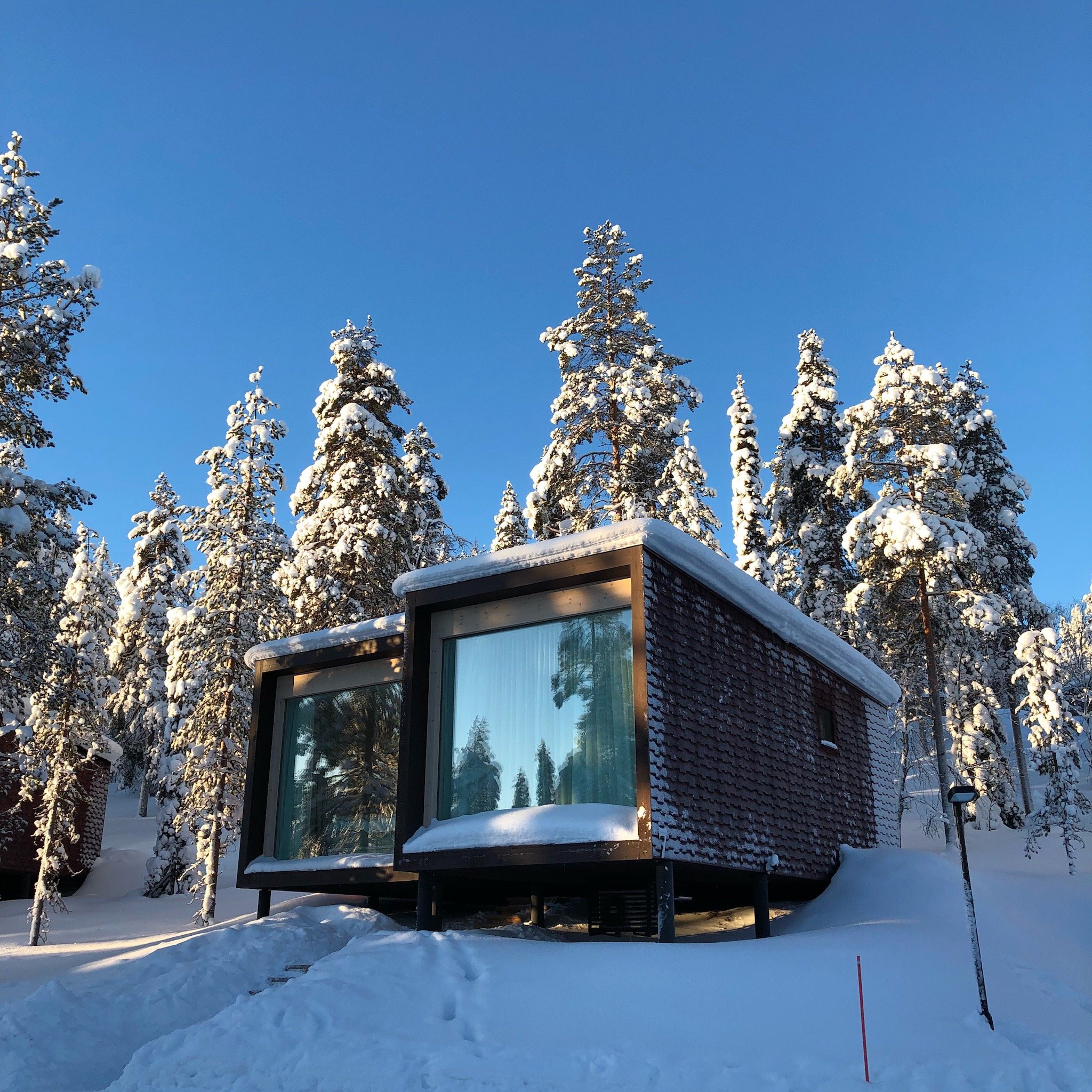 ARCTIC TREEHOUSE HOTEL: Bewertungen, Fotos & Preisvergleich (Rovaniemi ...