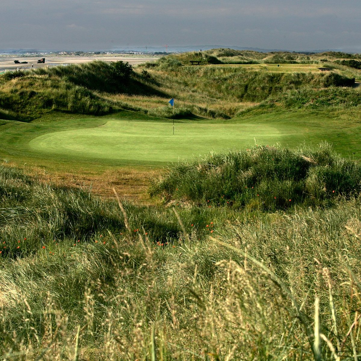 Seapoint Golf Links (Termonfeckin) - All You Need to Know BEFORE You Go