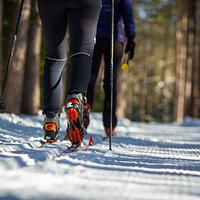 Venez découvrir nos sentiers de ski de fond!