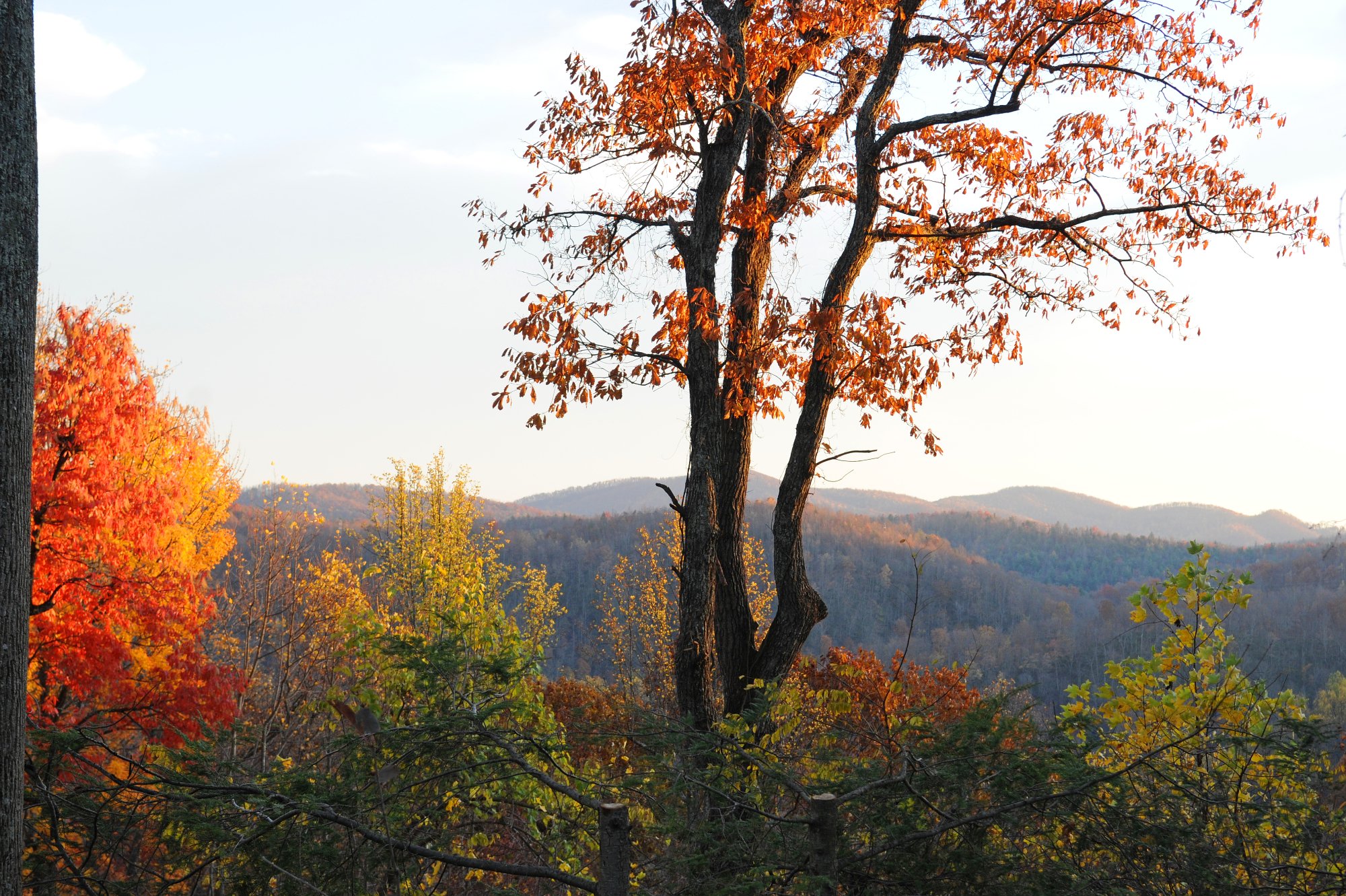 ORCHARD INN & SPA - Bewertungen, Fotos & Preisvergleich (Saluda, NC ...