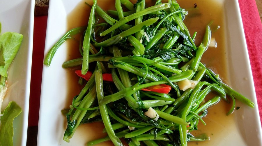 Stir fried morning glory